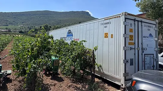 ArcticStore Cold Storage Greece Wineries – Refrigerated Containers