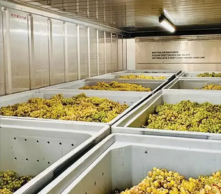 Wineries and Vineyards