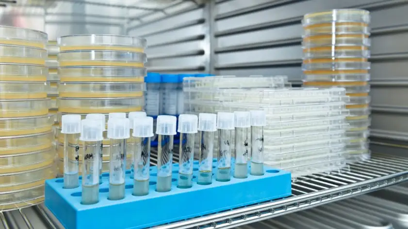 Pharmaceutical cold chain storage for temperature-sensitive medicines and therapies